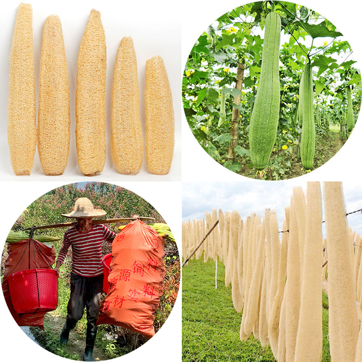 1pcs Natural Loofah Sponge Mul - огляд і ціна Body Loofah Natural