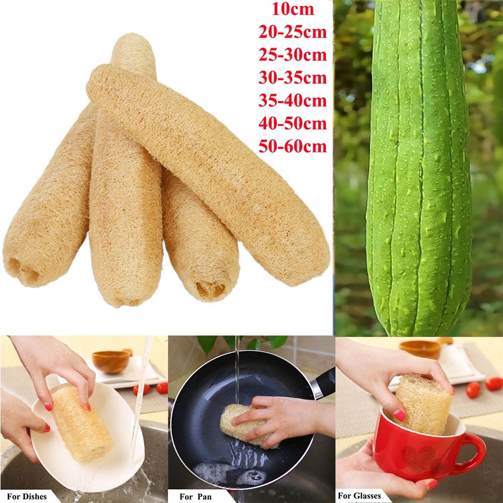 Natural Loofah Luffa Sponge Lo - огляд і ціна Body Loofah Natural