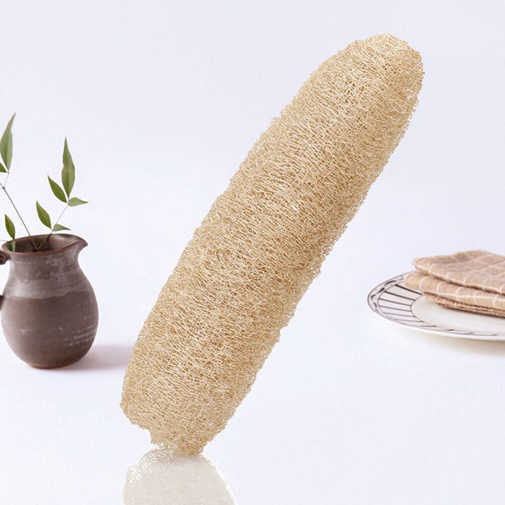 Natural Loofah Luffa Sponge Lo - огляд і ціна Body Loofah Natural