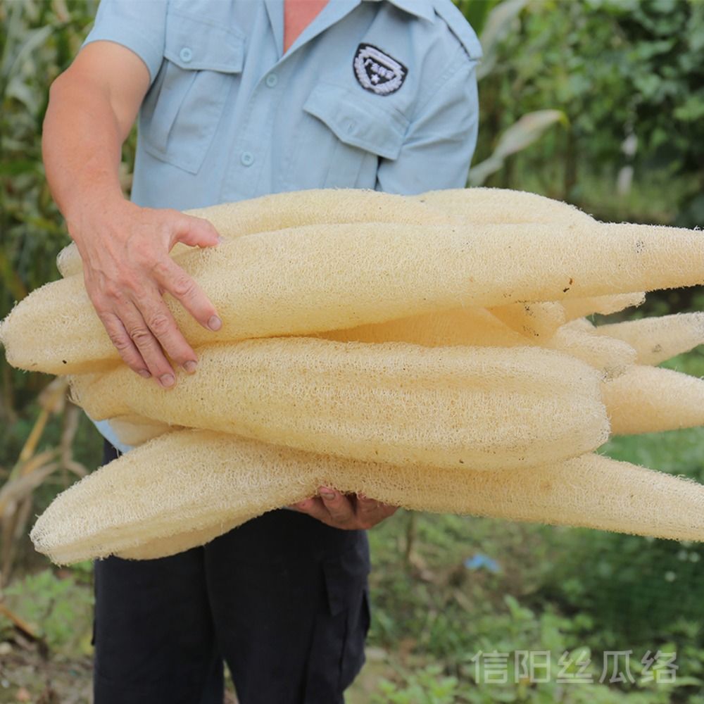 Natural Loofah Luffa Sponge Lo - огляд і ціна Body Loofah Natural