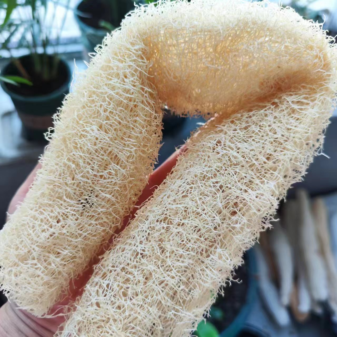 Marvelous Loofah Sponge Versat - огляд і ціна Body Loofah Natural