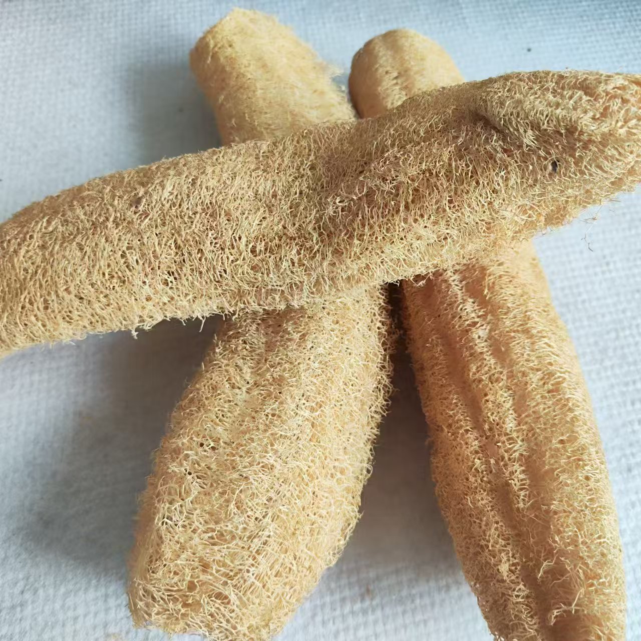 Marvelous Loofah Sponge Versat - огляд і ціна Body Loofah Natural